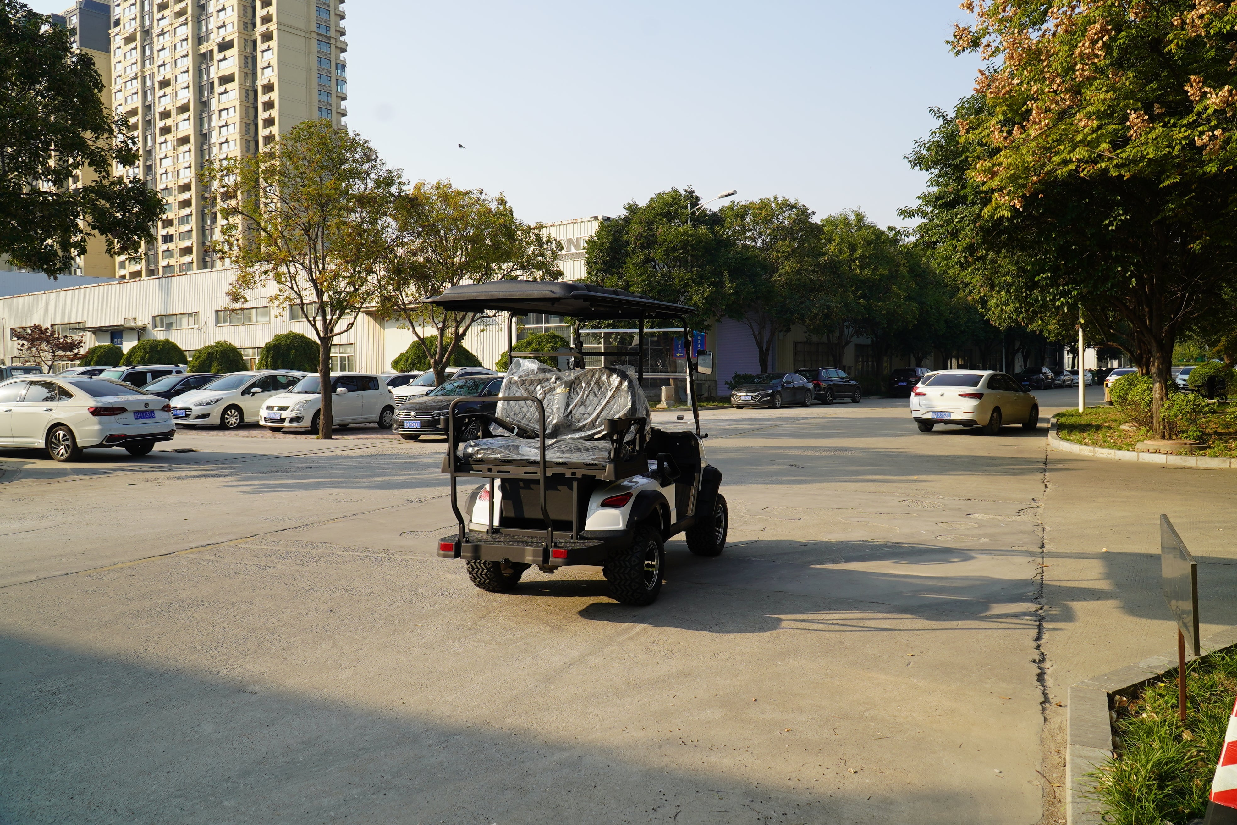 Golf Cart 4 seats