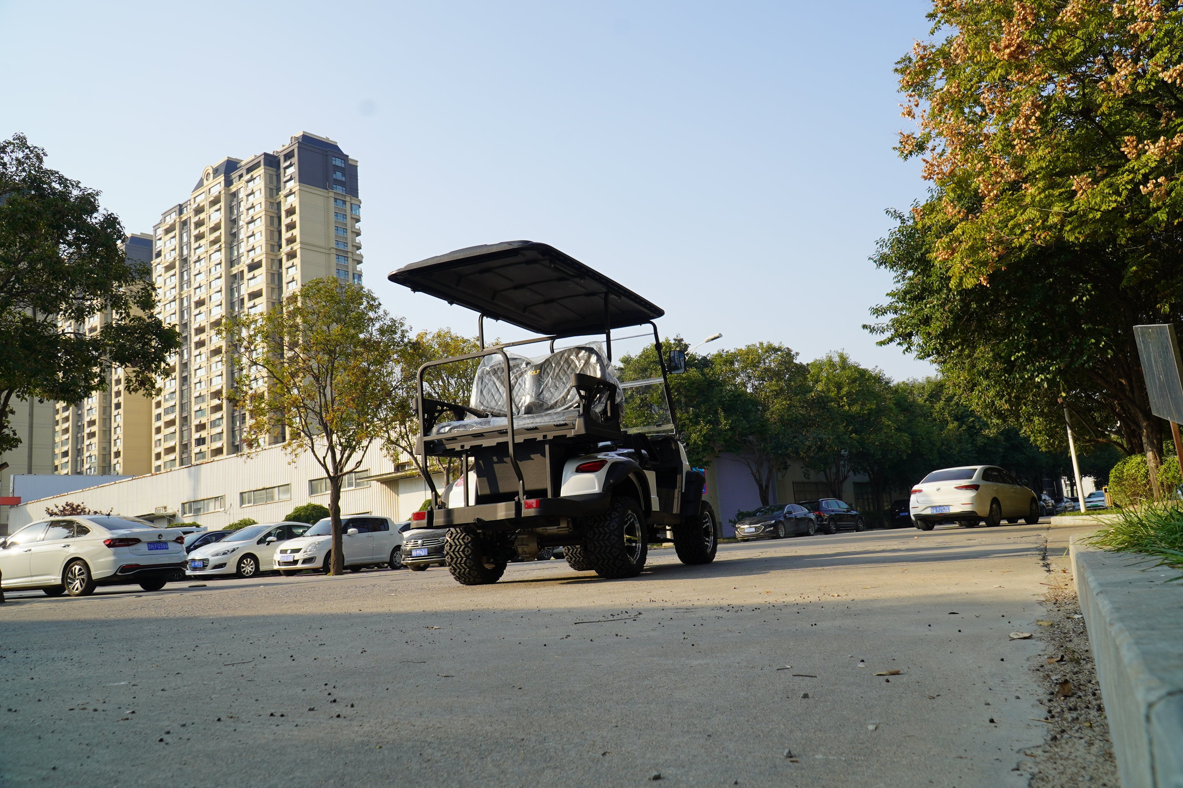 Golf Cart 4 seats